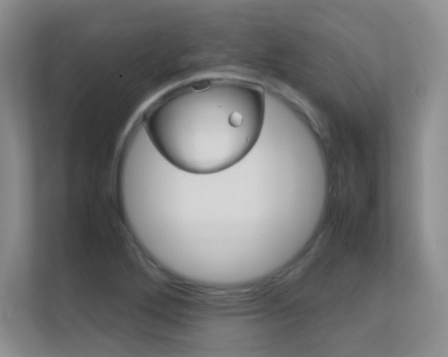 X0000112411272200908141018