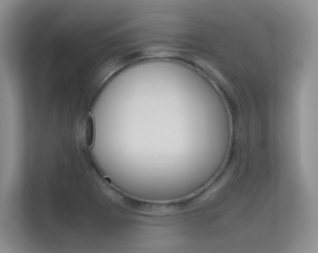 X0000112411273200908141018
