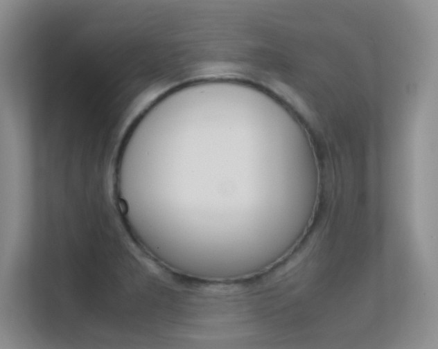 X0000112411277200908141018