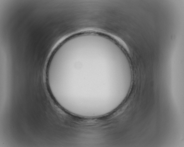X0000112411279200908141018