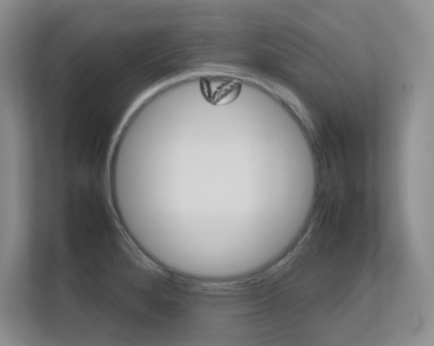 X0000112411280200908141018