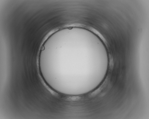 X0000112411282200908141018