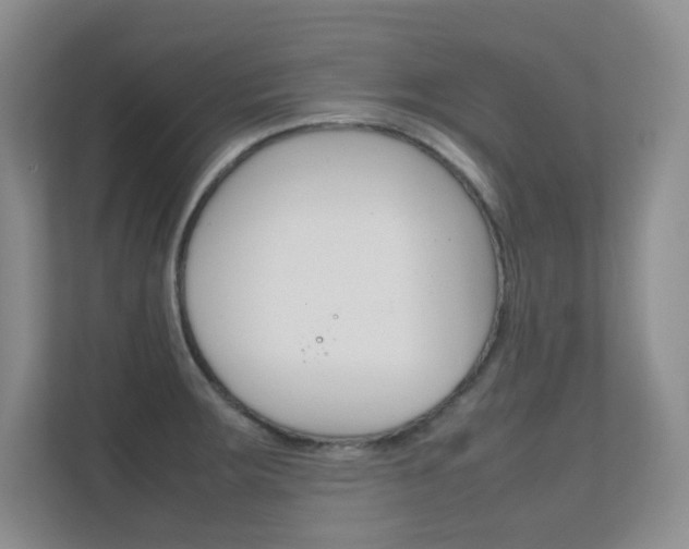 X0000112411283200908141018