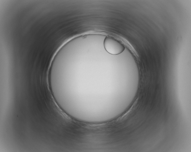 X0000112411284200908141018