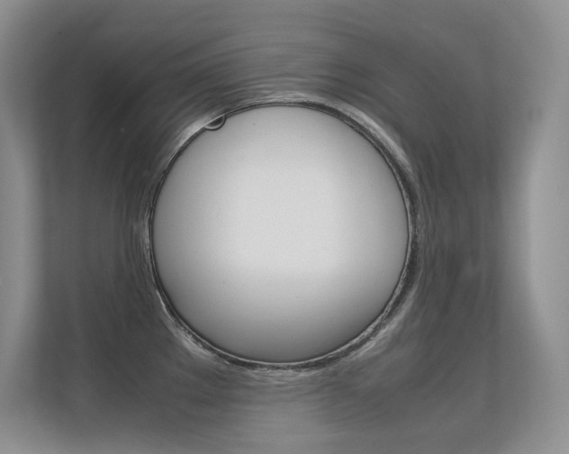 X0000112411289200908141018