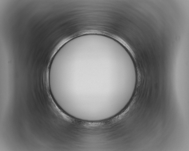 X0000112411290200908141018