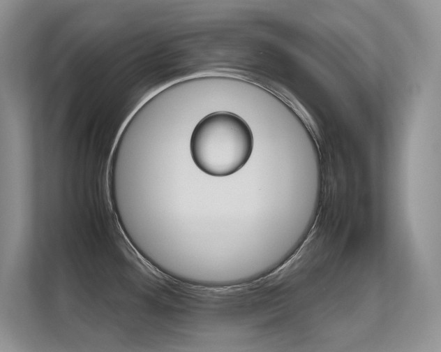 X0000112411292200908141018