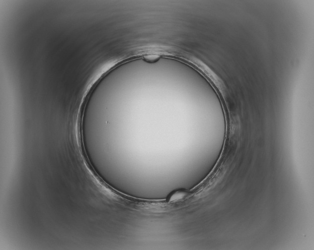 X0000112411293200908141018