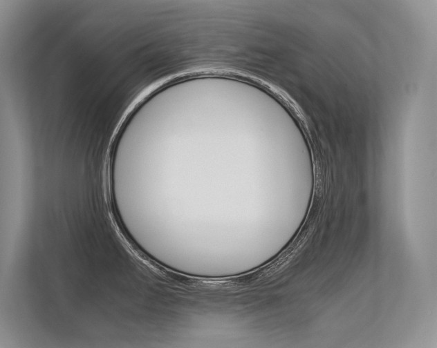 X0000112411295200908141018