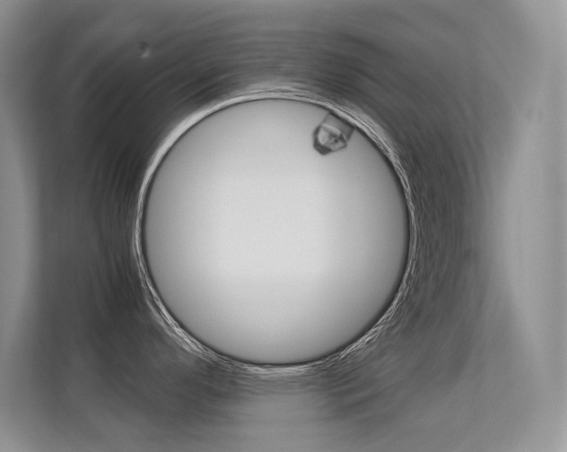 X0000112411296200908141018