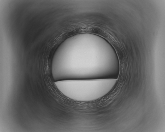X0000112411298200908141017