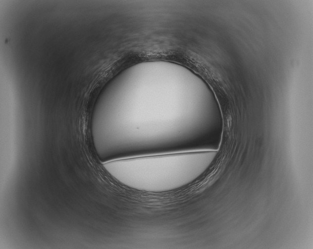X0000112411300200908141017