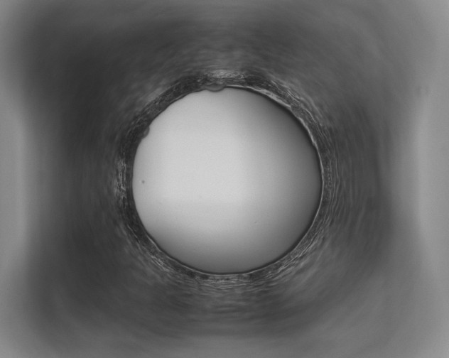 X0000112411301200908141017