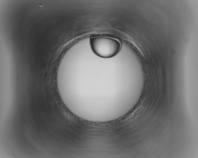 X0000112411304200908141017