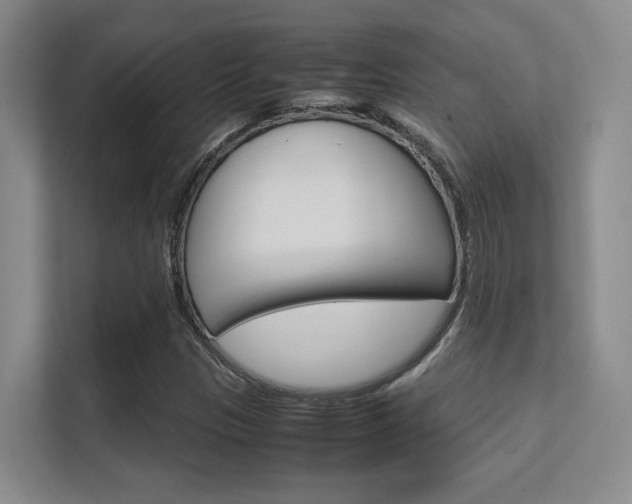 X0000112411305200908141017