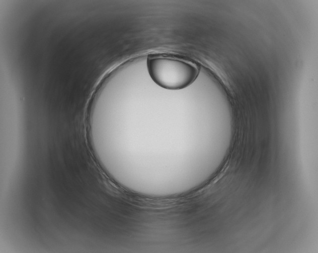X0000112411308200908141017