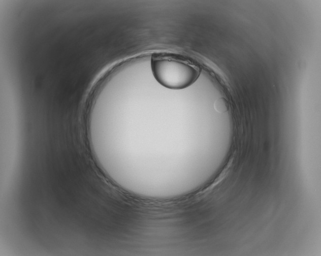 X0000112411310200908141017