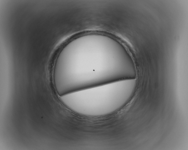 X0000112411311200908141017