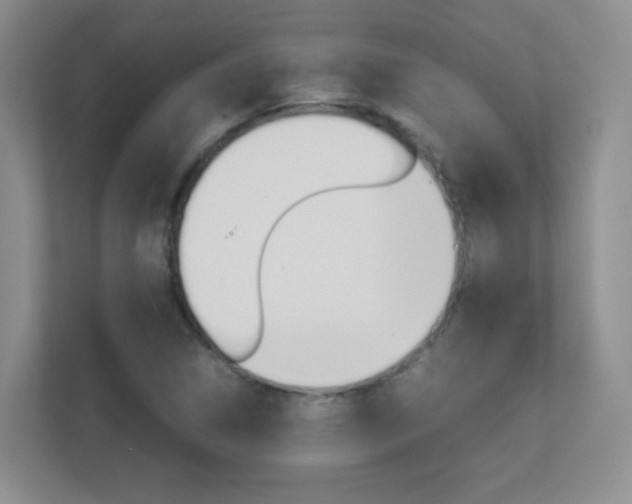 X0000112411314200908141017