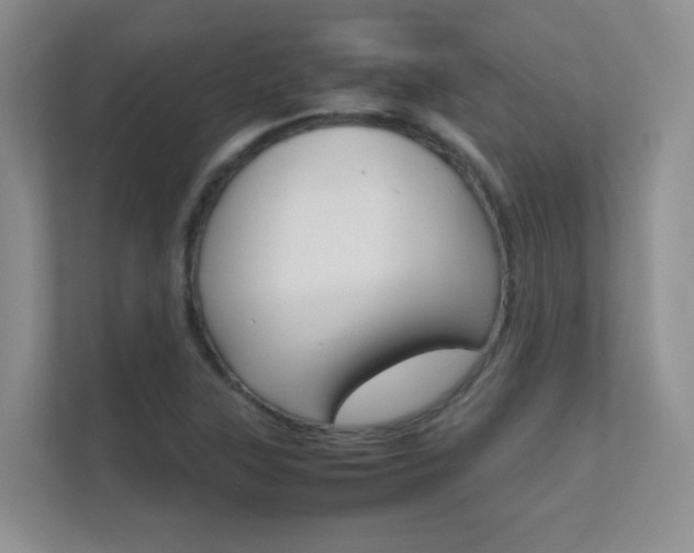 X0000112411315200908141017