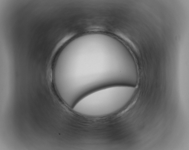 X0000112411317200908141017