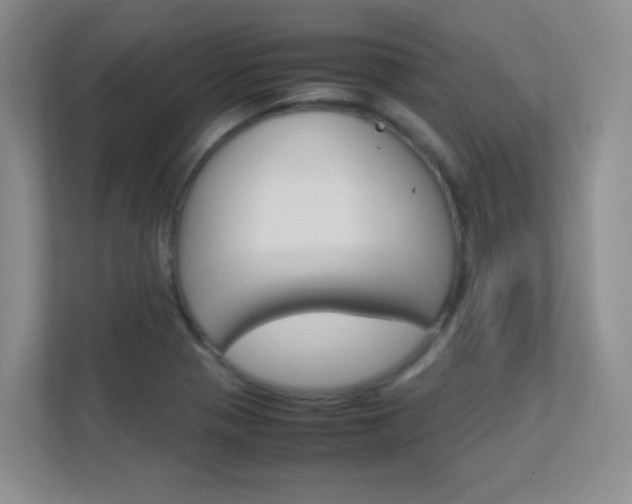 X0000112411321200908141017
