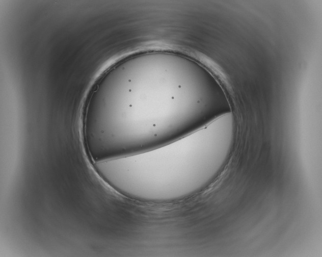 X0000112411334200908141017