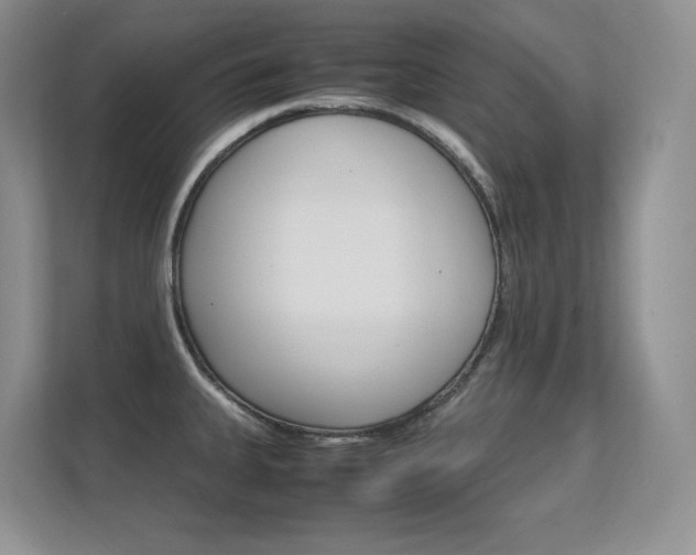 X0000112411335200908141017