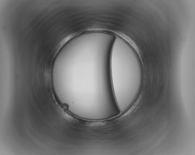 X0000112411337200908141018