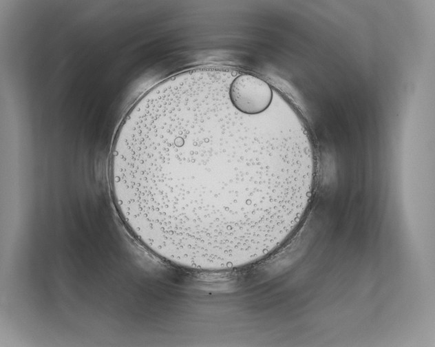 X0000112411338200908141018