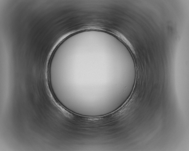 X0000112411339200908141018