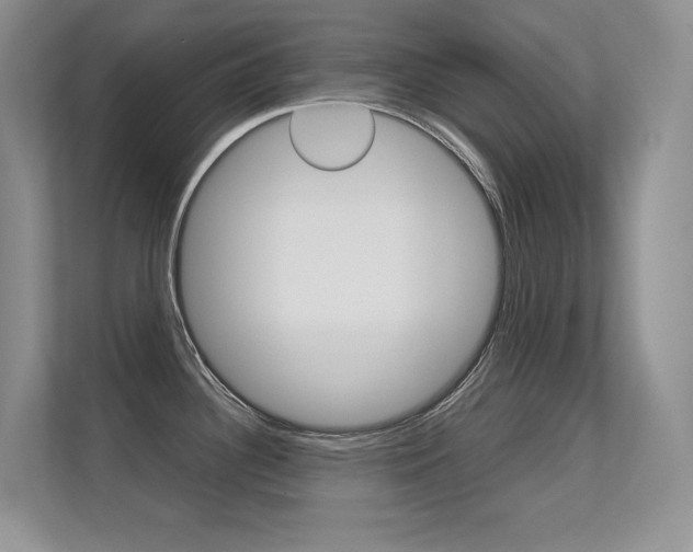 X0000112411340200908141018