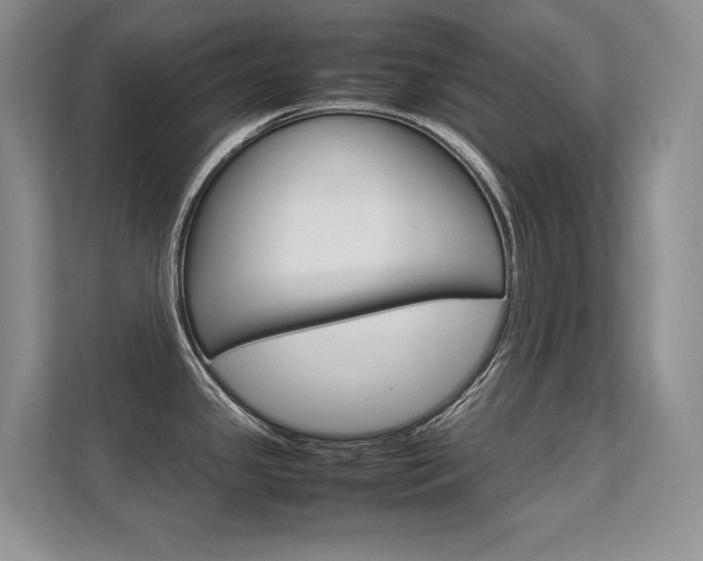 X0000112411341200908141018