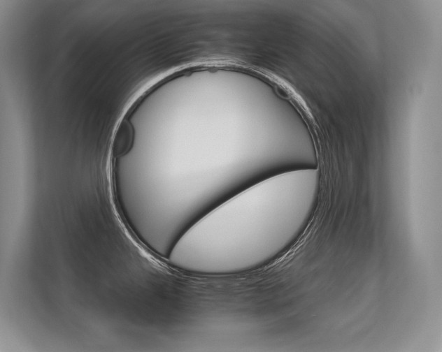 X0000112411343200908141018