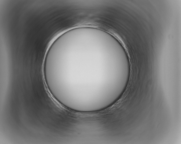 X0000112411344200908141018