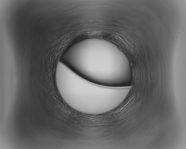 X0000112411345200908141017