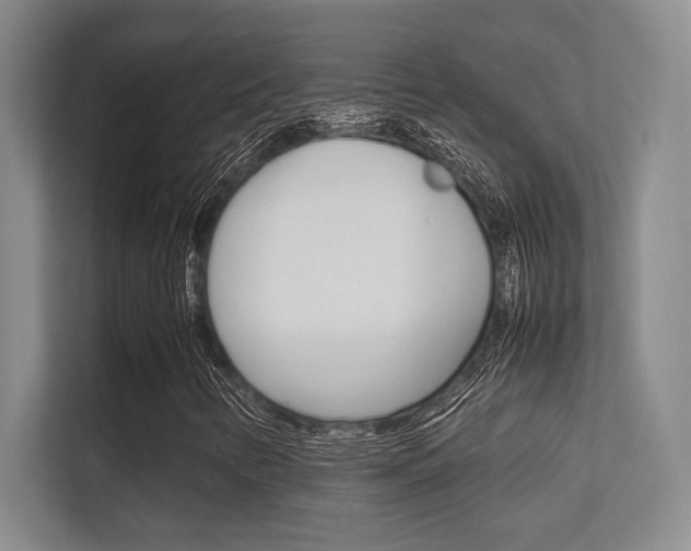 X0000112411346200908141017