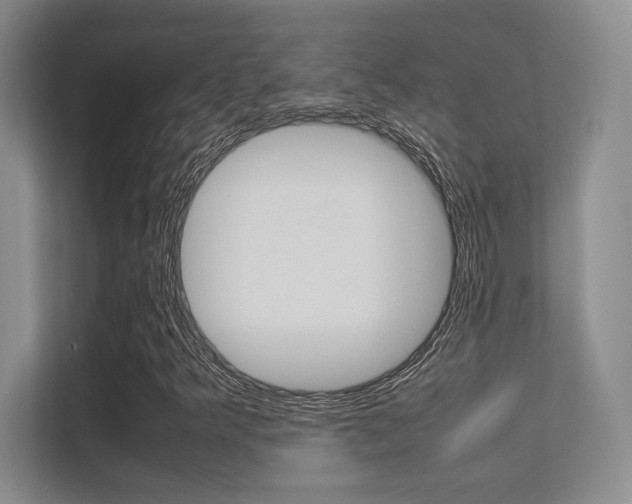 X0000112411349200908141017
