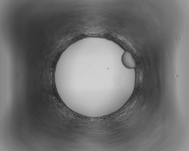X0000112411350200908141017