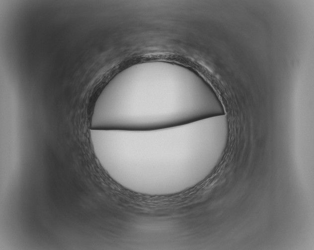X0000112411351200908141017