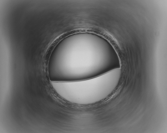 X0000112411352200908141017