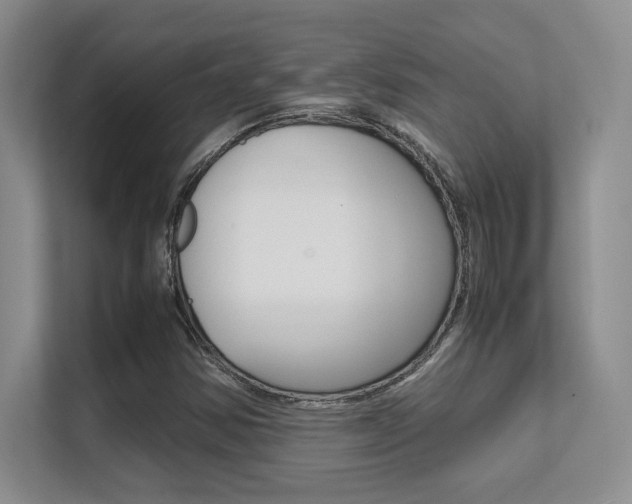 X0000112411354200908141017