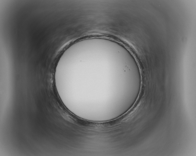 X0000112411355200908141017