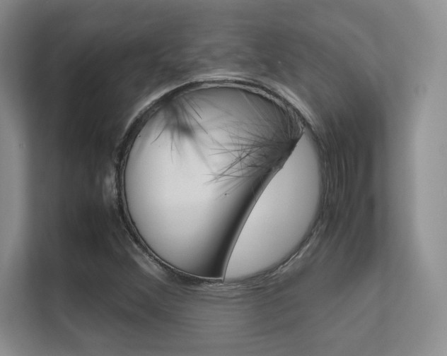 X0000112411356200908141017