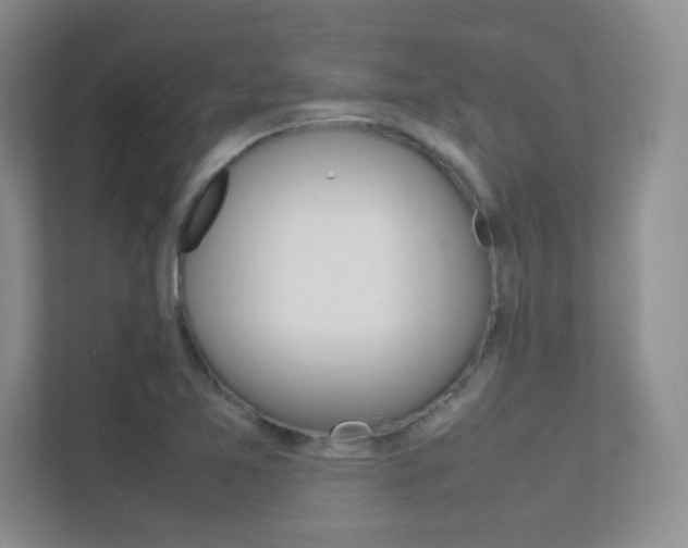 X0000112411365200908141017