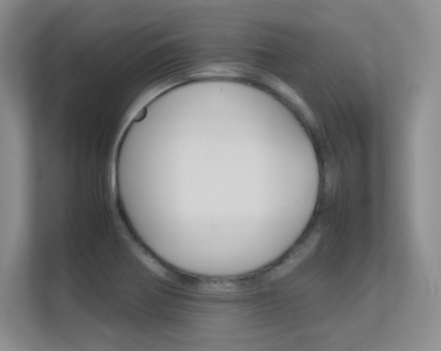 X0000112411370200908141017