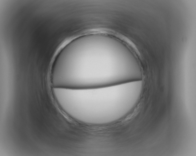 X0000112411373200908141017