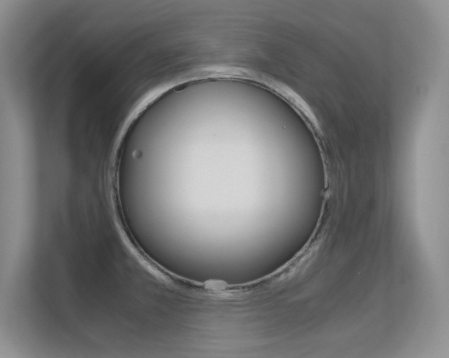 X0000112411381200908141017