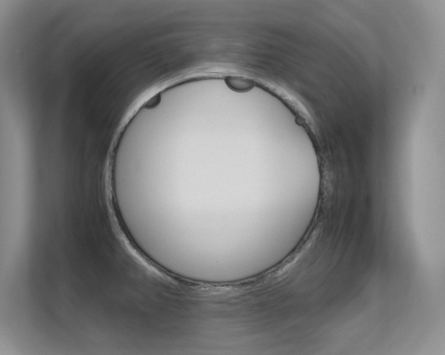X0000112411382200908141017
