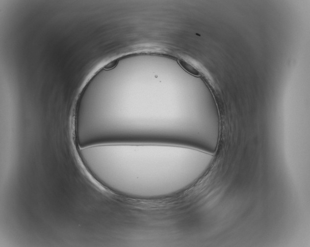 X0000112411383200908141016